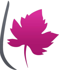 partenaire 12 - Ski Club Annecy-le-Vieux