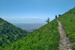 Summer Activity #1 : Rando Jura