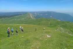 Summer Activity #1 : Rando Jura