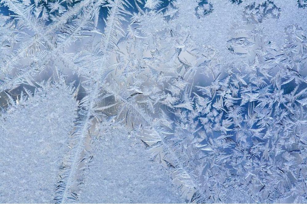 La photo de la semaine