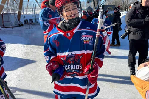 Les marmottes au Quebec