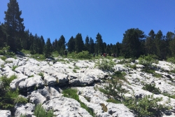 Rando 3 : Le Parmelan