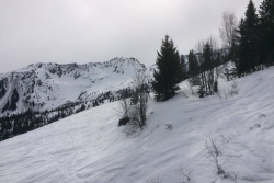 Arêches Beaufort