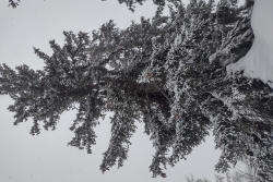10ème sortie Val Cenis