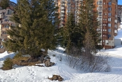 3ème sortie AVORIAZ